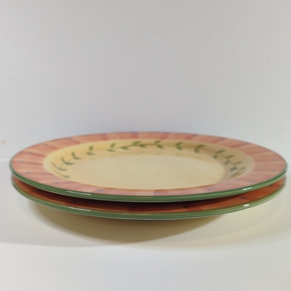 Pfaltzgraff "Napoli" Hand-Painted Set of 2 Round Dinner Plates Replacements - Picture 2 of 7